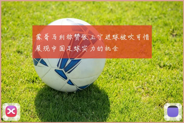 蒙哥马利称赞张玉宁进球被吹可惜展现中国足球实力的机会